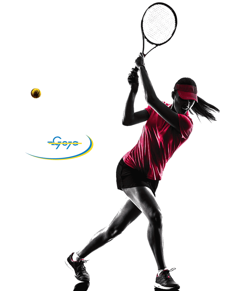 Spletne rezervacije GOJA tenis center - Iniciar Sessi&oacute;